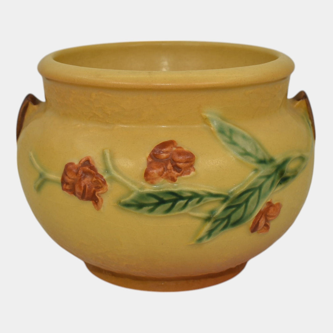 Roseville Bittersweet Yellow 1951 Vintage Art Pottery Ceramic Jardiniere 800-4