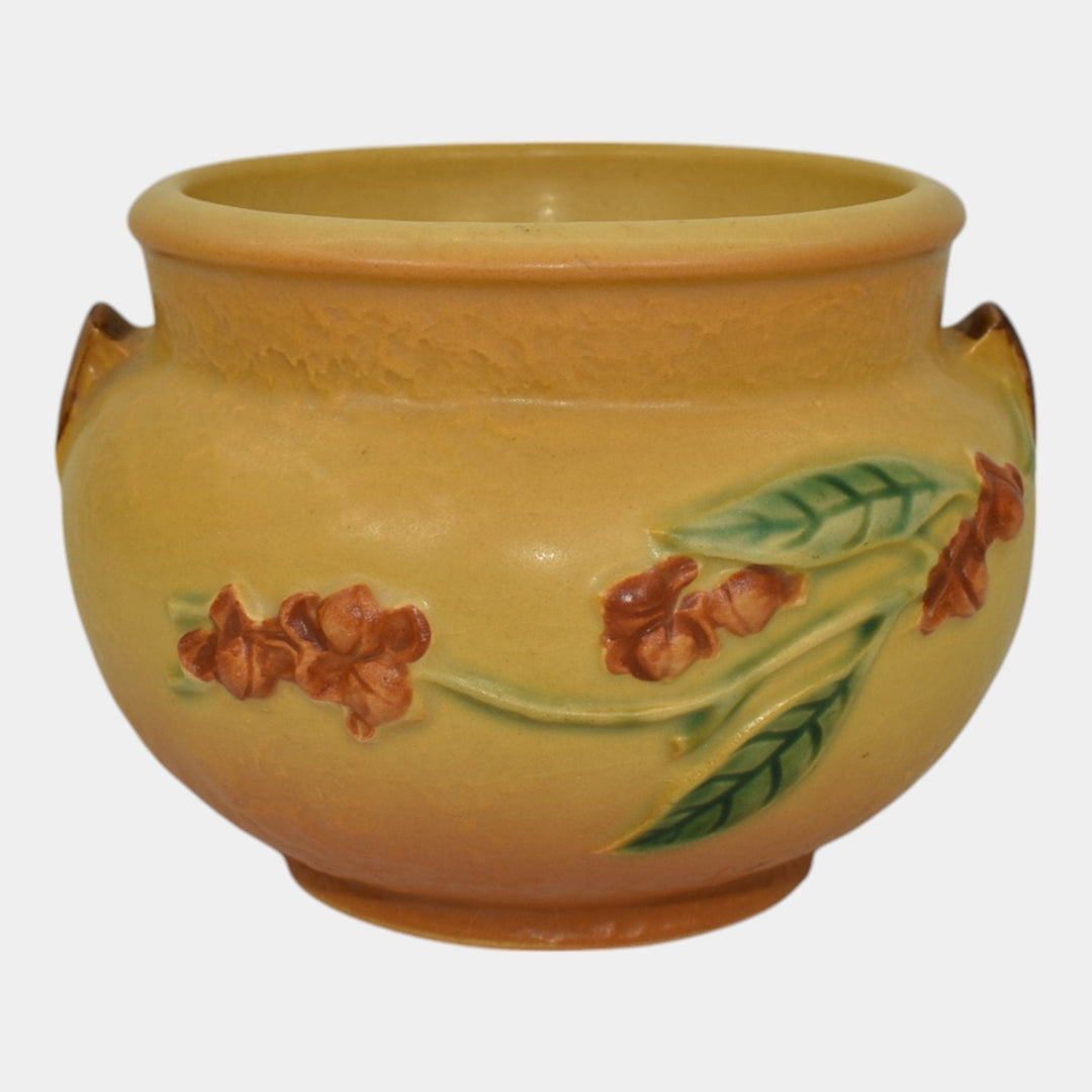 Roseville Bittersweet Yellow 1951 Vintage Art Pottery Ceramic Jardiniere 800-4