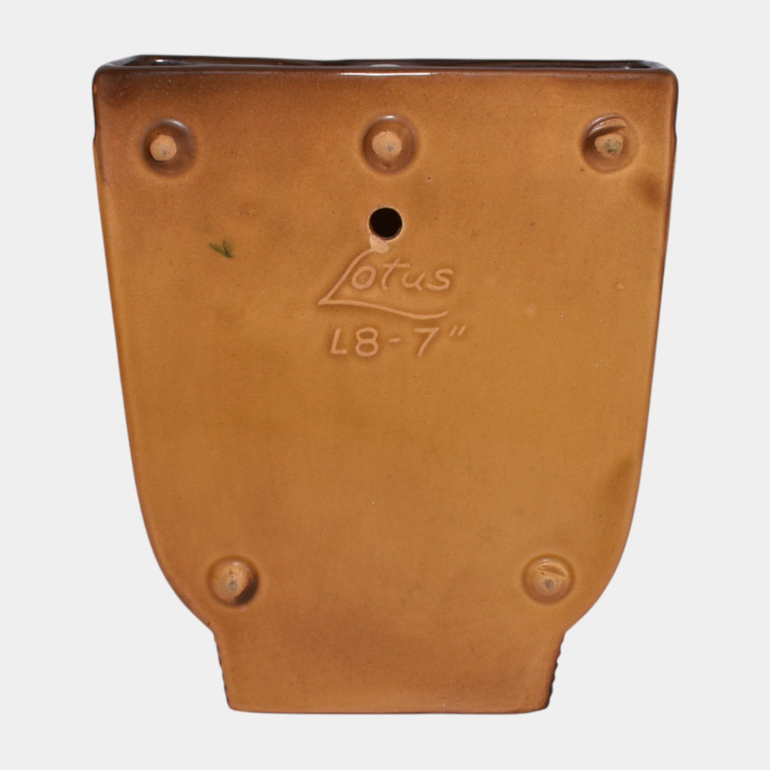 Roseville Lotus Brown 1952 Mid Century Modern Pottery Ceramic Wall Pocket L8-7