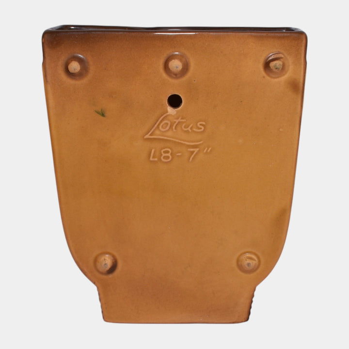 Roseville Lotus Brown 1952 Mid Century Modern Pottery Ceramic Wall Pocket L8-7