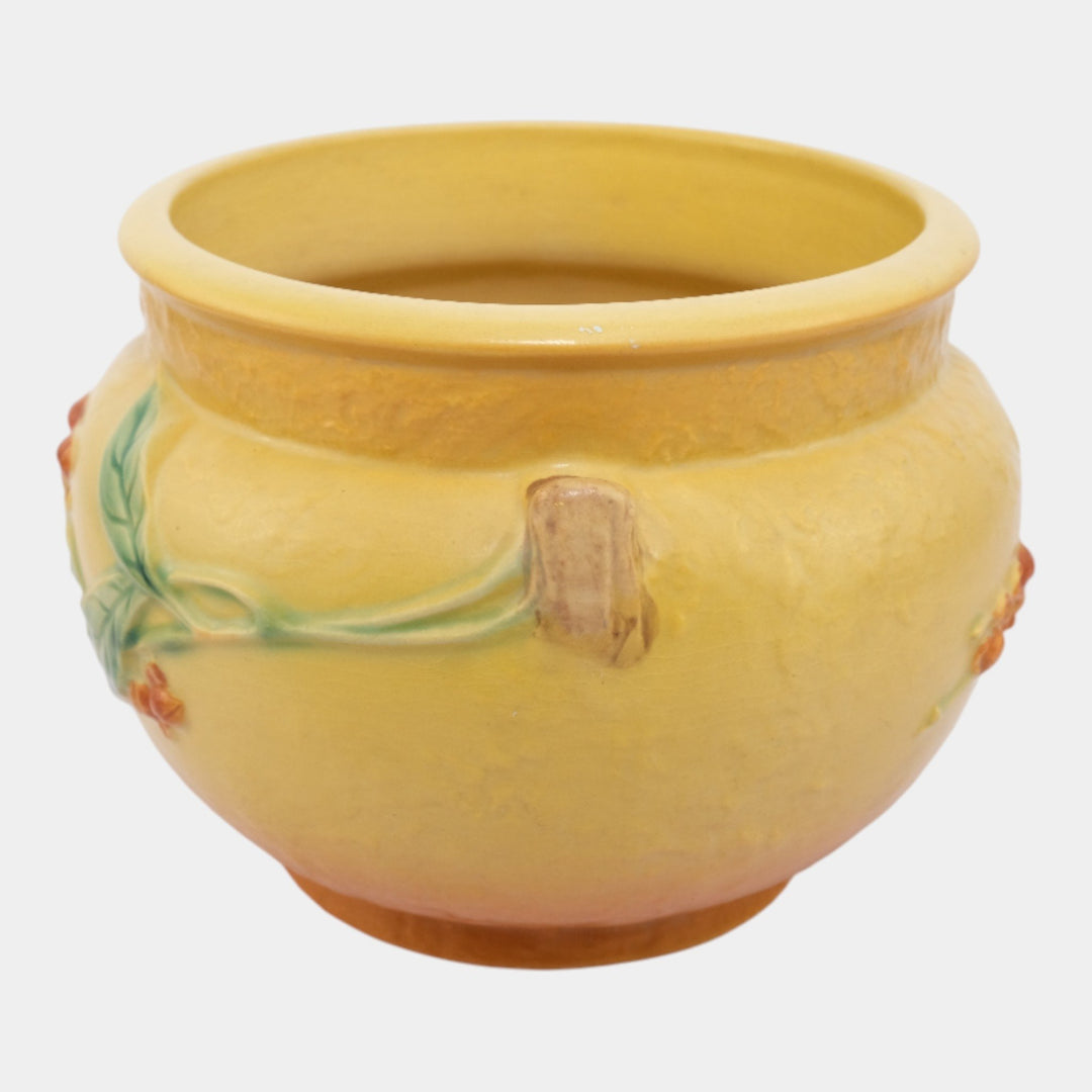 Roseville Bittersweet Yellow 1951 Vintage Art Pottery Ceramic Jardiniere 801-6