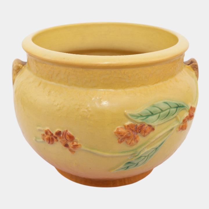 Roseville Bittersweet Yellow 1951 Vintage Art Pottery Ceramic Jardiniere 801-6