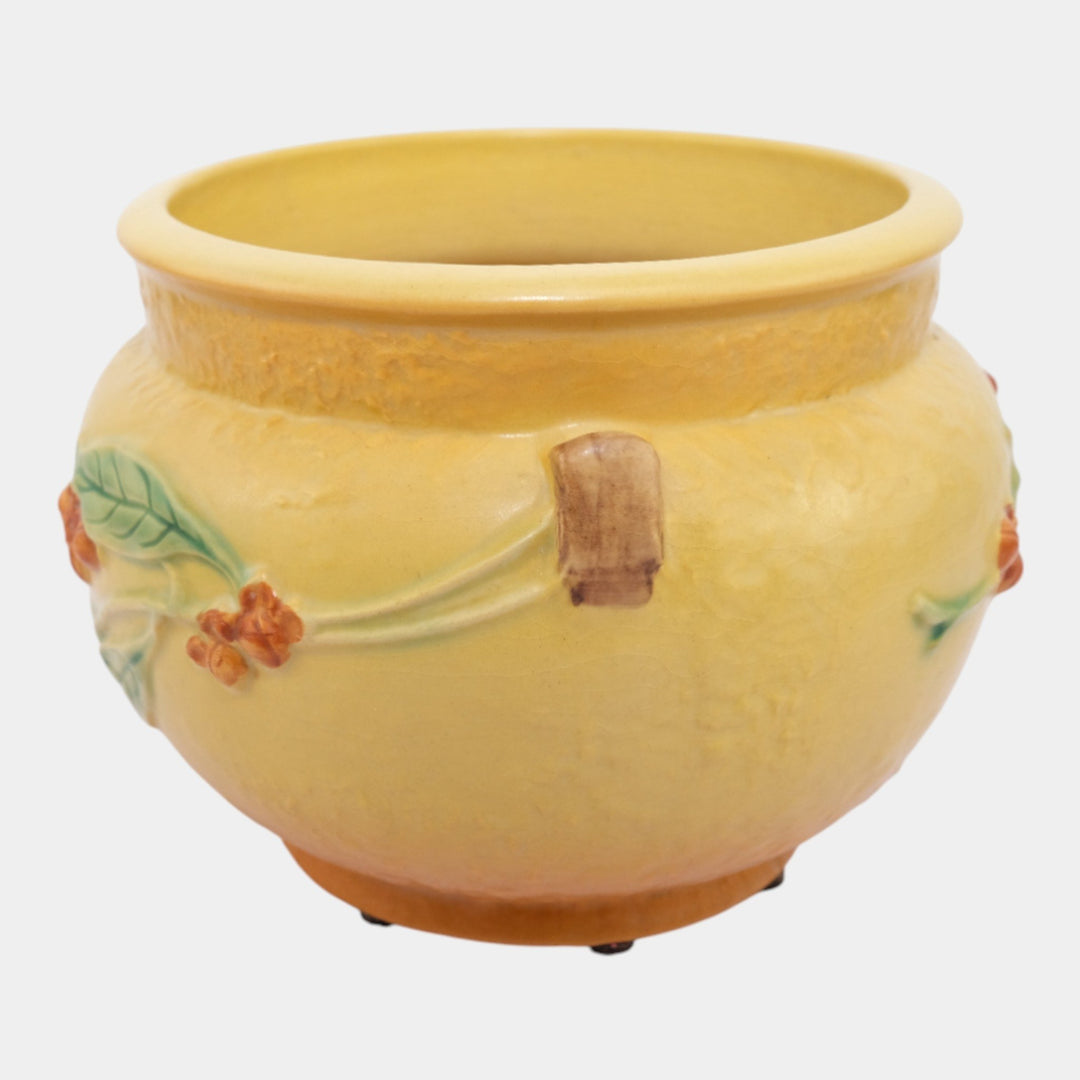 Roseville Bittersweet Yellow 1951 Vintage Art Pottery Ceramic Jardiniere 801-6