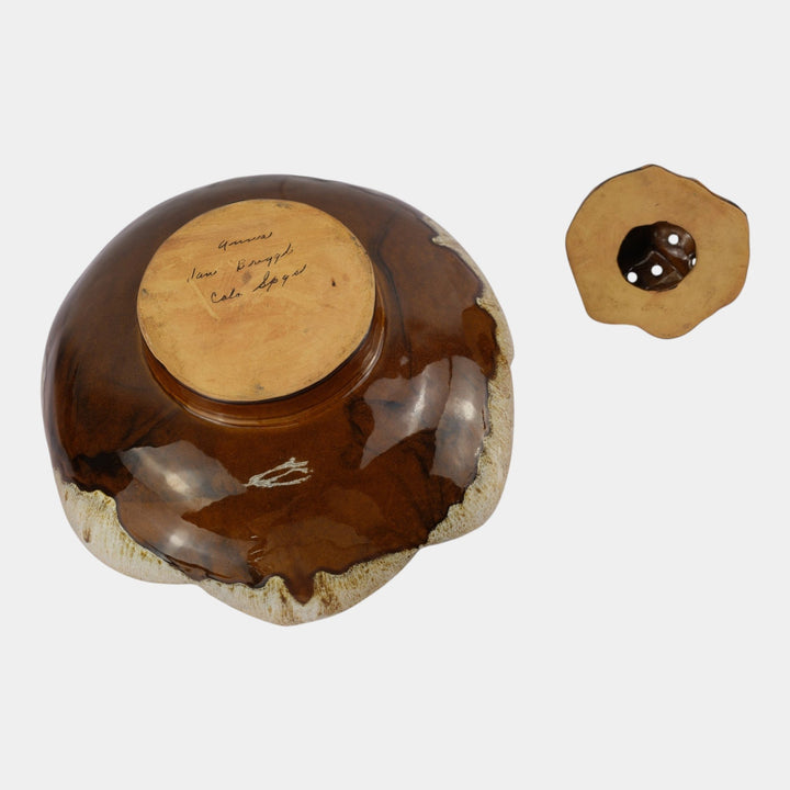 Anna Van Briggle 1950s Vintage Art Pottery Brown Lotus Bowl Turtle Flower Frog